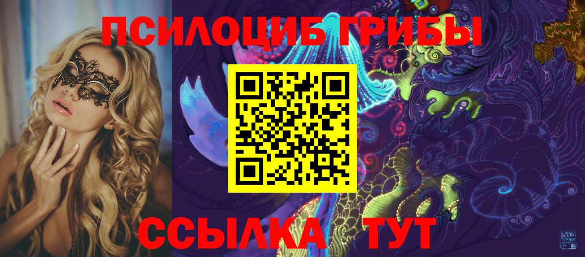 Сосновый Бор  Псилоцибиновые грибы Cubensis  Вход с VPN  Галлюциногенные грибы Psilocybe 